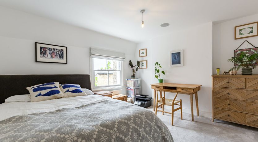 Photo of Pink Pampas Grass