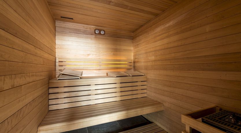 Photo of Conifer Tree Breeze