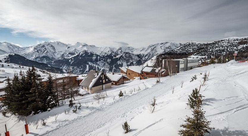 Photo of Conifer Tree Breeze