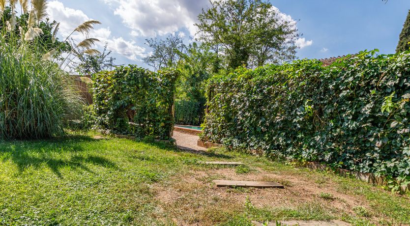 Photo of Crickets & Clover