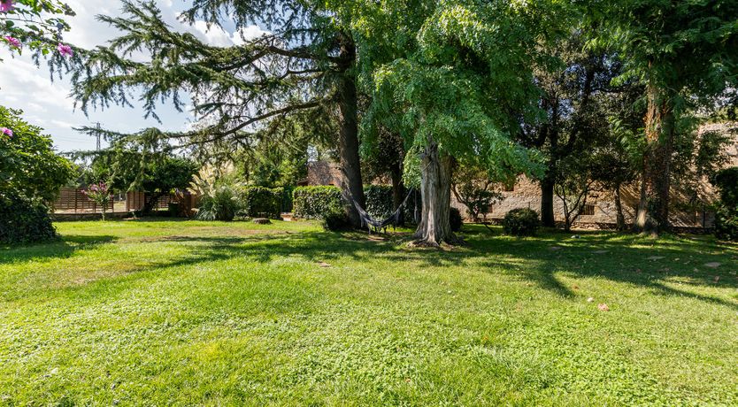 Photo of Crickets & Clover