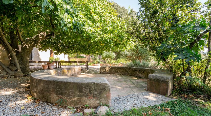 Photo of Crickets & Clover