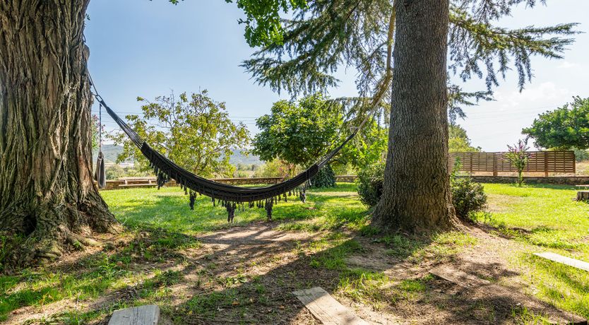 Photo of Crickets & Clover