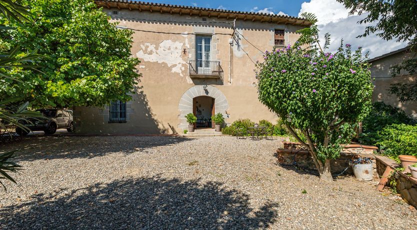 Photo of Crickets & Clover