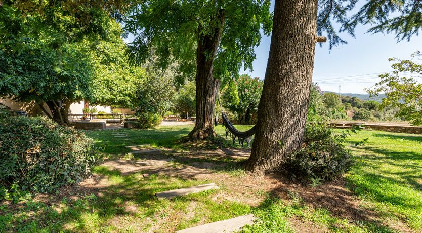 Photo of Crickets & Clover