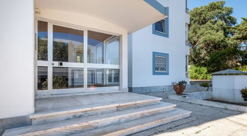 Photo of The Ripest Grape