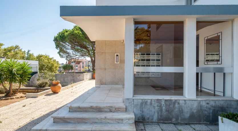 Photo of The Ripest Grape