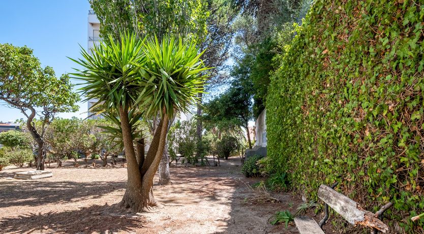 Photo of The Ripest Grape