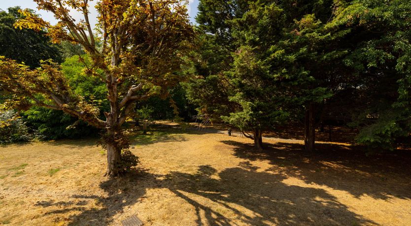 Photo of Coming of Age