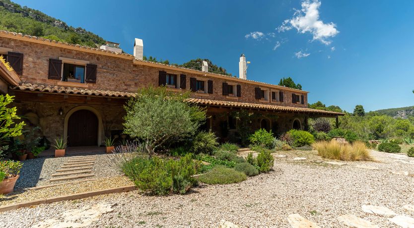 Photo of An Appetite for Life