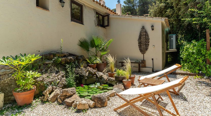 Photo of An Appetite for Life