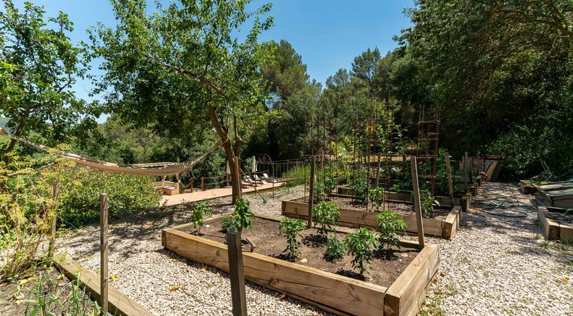 Photo of An Appetite for Life