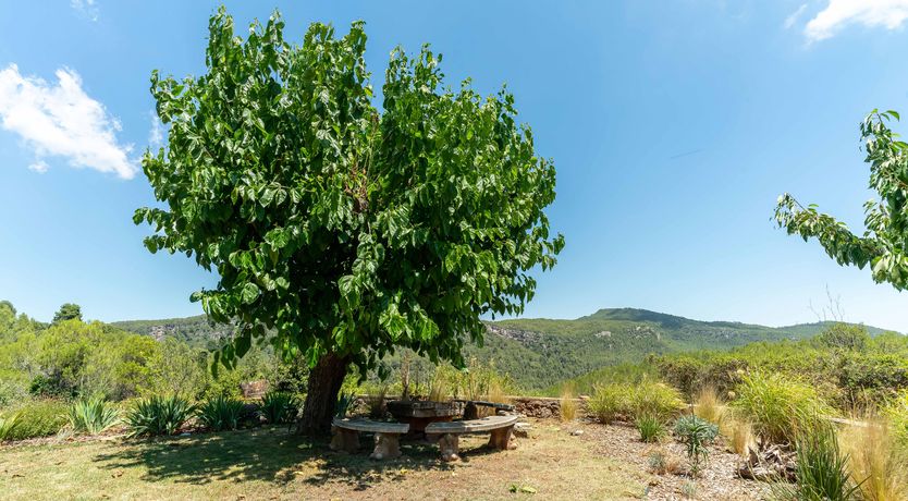 Photo of An Appetite for Life