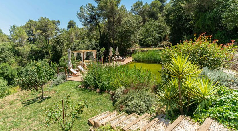 Photo of An Appetite for Life