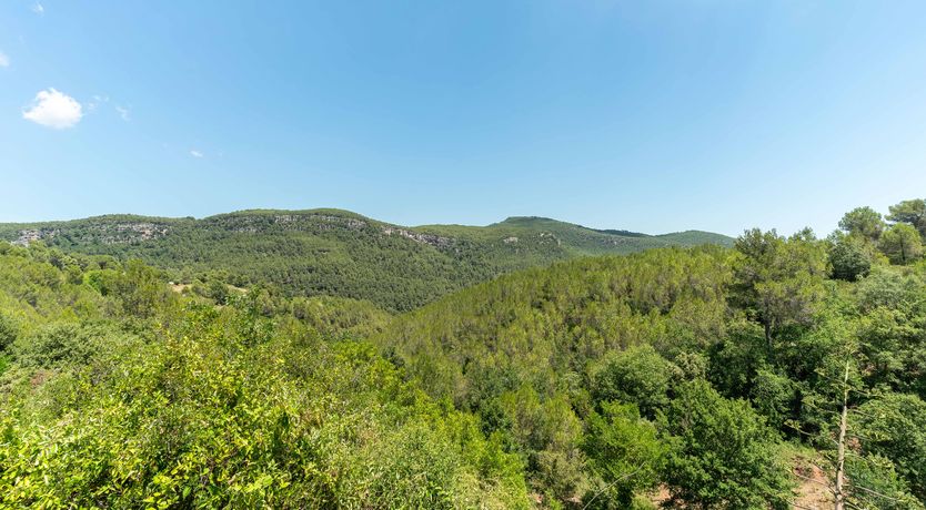 Photo of An Appetite for Life