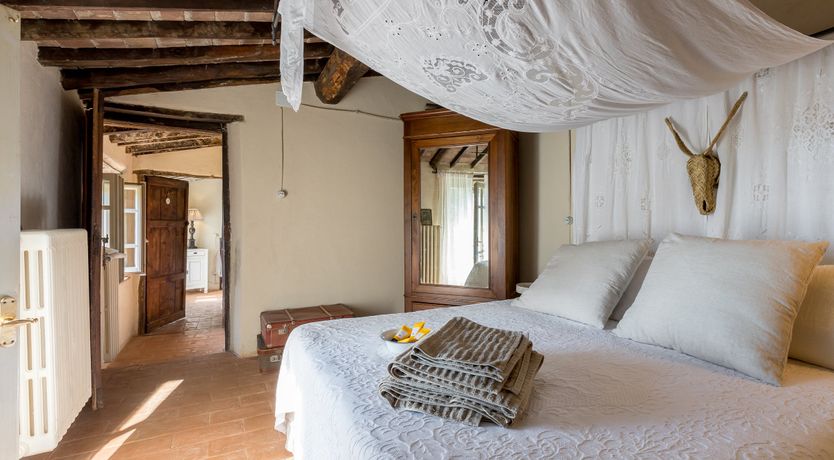 Photo of Eagle in Its Eyrie