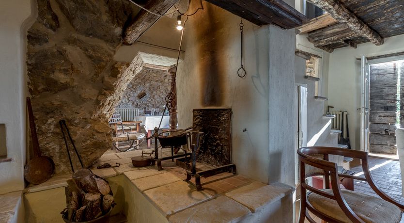 Photo of Eagle in Its Eyrie