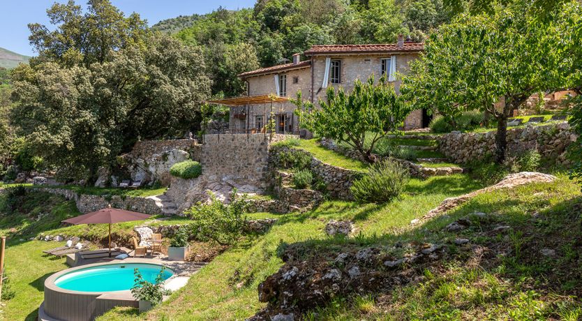 Photo of Eagle in Its Eyrie