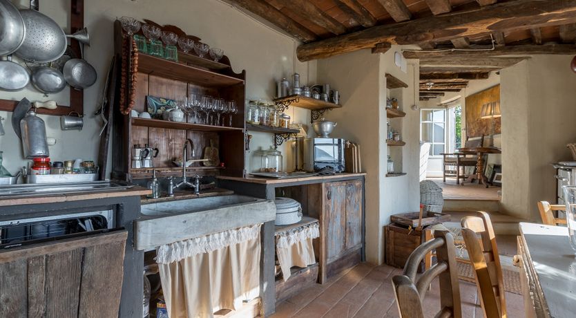 Photo of Eagle in Its Eyrie