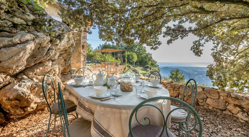 Photo of Eagle in Its Eyrie