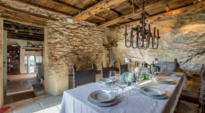 Photo of Eagle in Its Eyrie