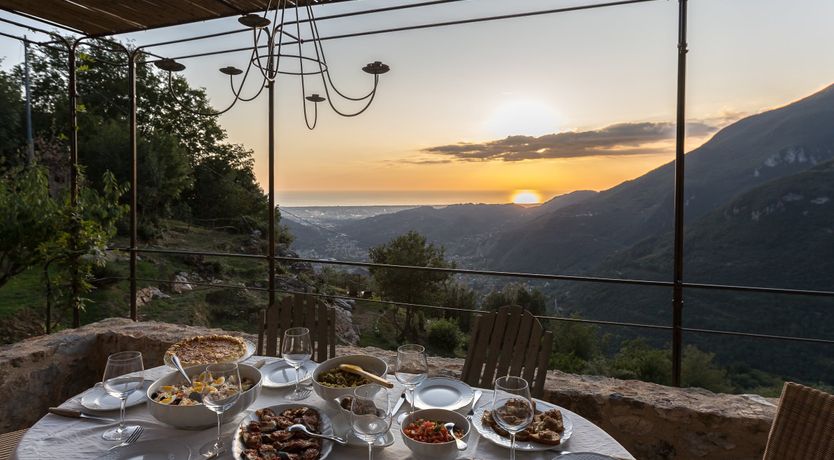 Photo of Eagle in Its Eyrie