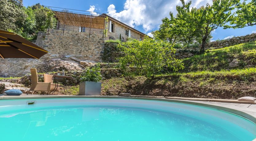 Photo of Eagle in Its Eyrie