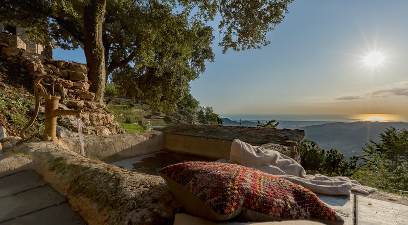 Photo of Eagle in Its Eyrie