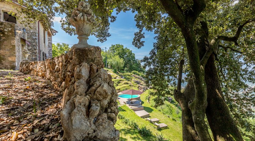 Photo of Eagle in Its Eyrie