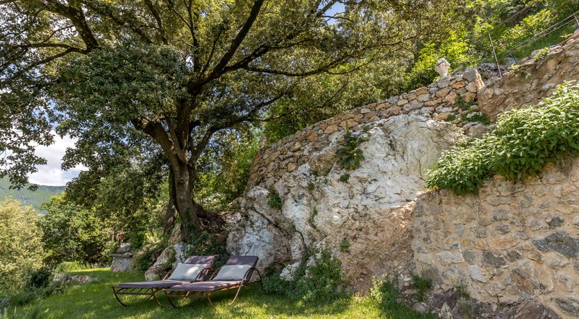 Photo of Eagle in Its Eyrie