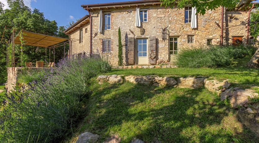 Photo of Eagle in Its Eyrie