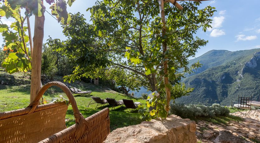 Photo of Eagle in Its Eyrie