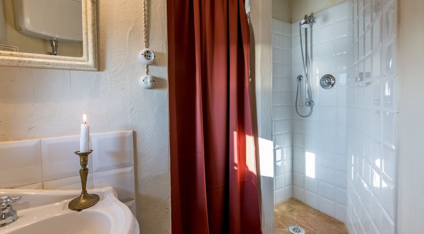 Photo of Eagle in Its Eyrie