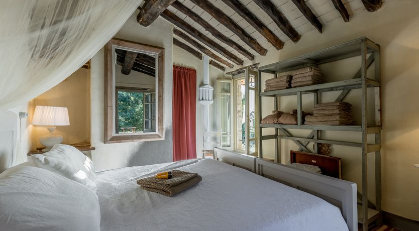 Photo of Eagle in Its Eyrie