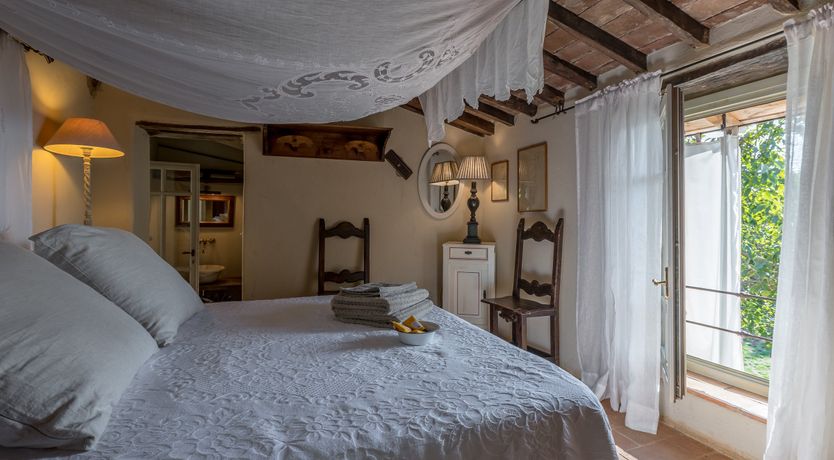 Photo of Eagle in Its Eyrie