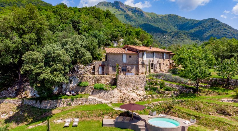 Photo of Eagle in Its Eyrie