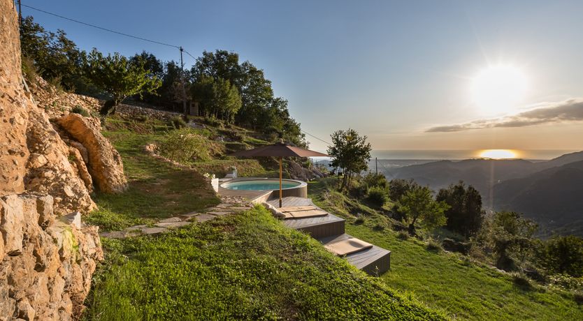 Photo of Eagle in Its Eyrie