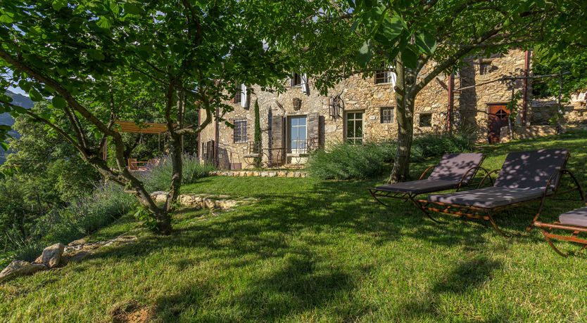 Photo of Eagle in Its Eyrie