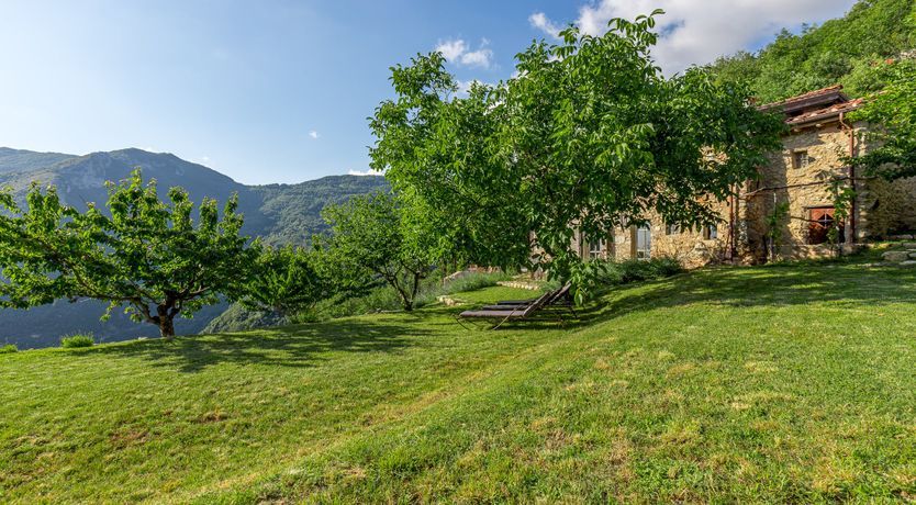 Photo of Eagle in Its Eyrie