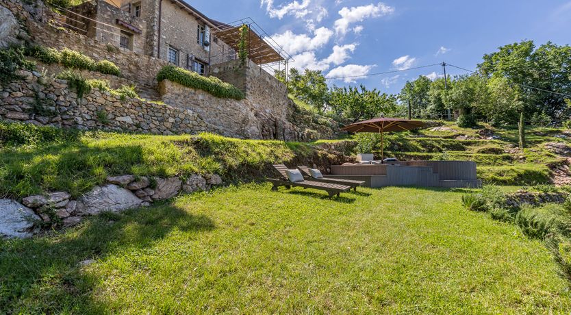 Photo of Eagle in Its Eyrie