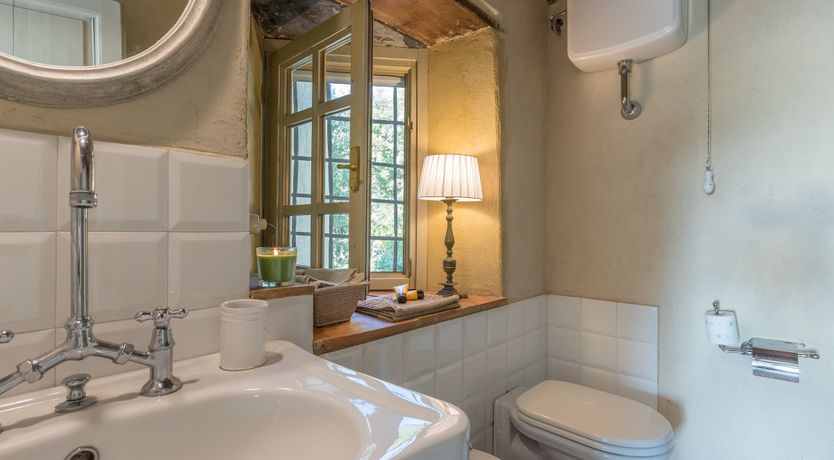 Photo of Eagle in Its Eyrie