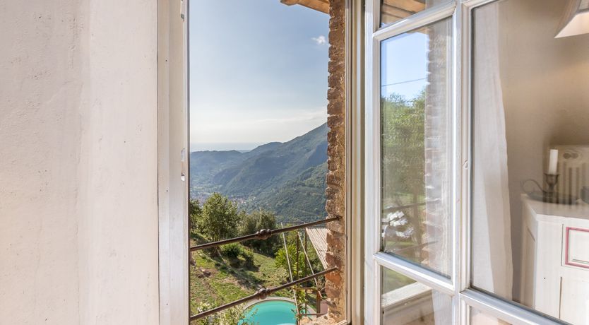 Photo of Eagle in Its Eyrie