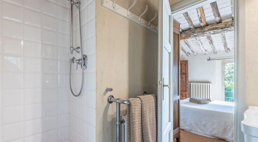 Photo of Eagle in Its Eyrie