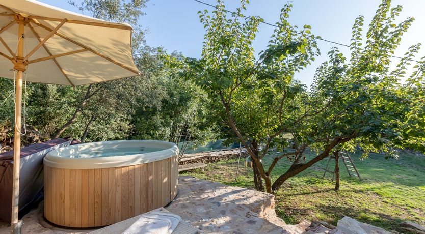 Photo of Eagle in Its Eyrie