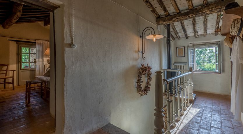 Photo of Eagle in Its Eyrie