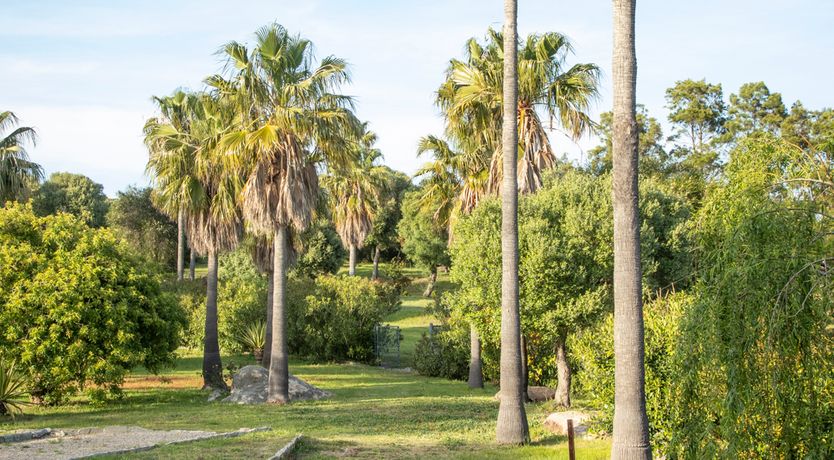 Photo of Dreams of Atlas