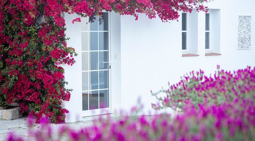 Photo of Dreams of Atlas