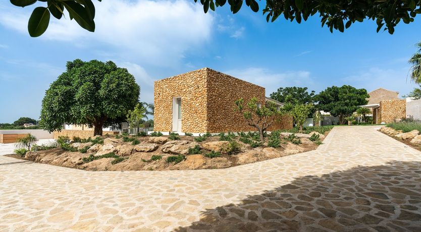 Photo of Lemons in Blue