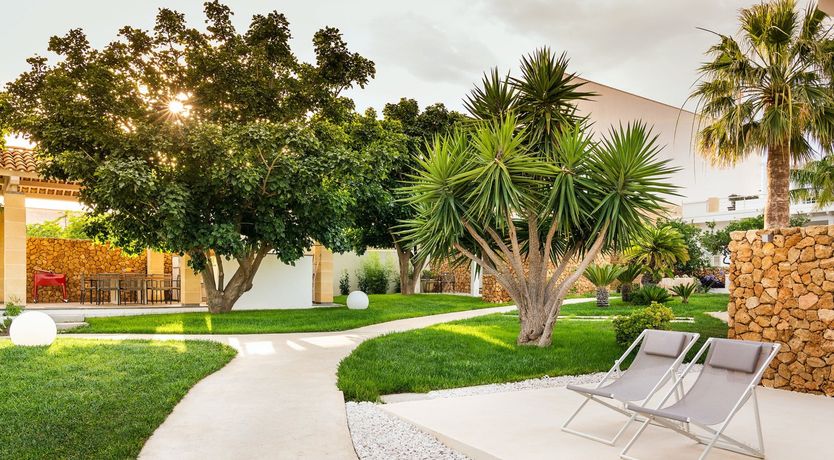 Photo of Lemons in Blue