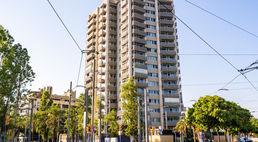 Photo of Easy on the Skyline